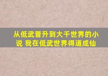 从低武晋升到大千世界的小说 我在低武世界得道成仙